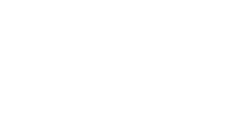 大将